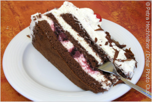 piece of black forest cake