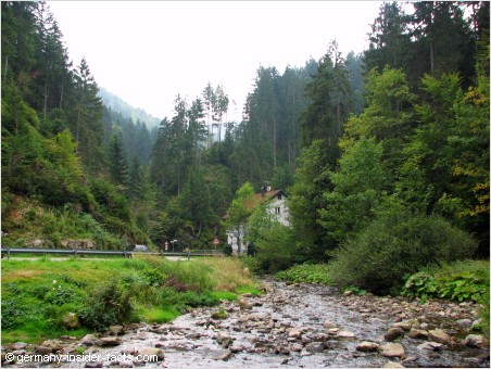 valley in the black forest