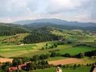 scenery at the black forest germany