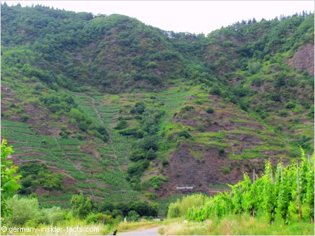 calmont region