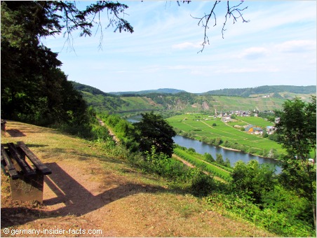 views over the mosel valley