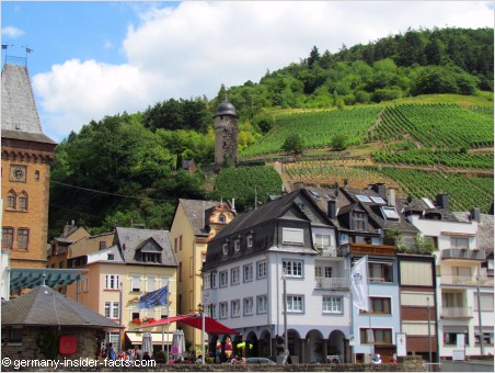 zell