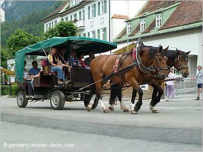 horse carriage to neuschwanstein
