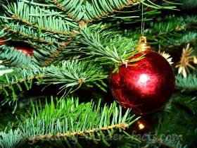 See how we celebrate Christmas